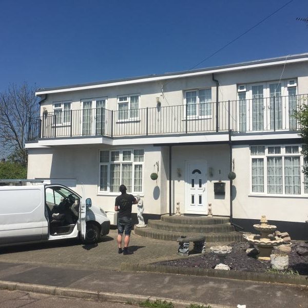 Hedgehope Complete 03