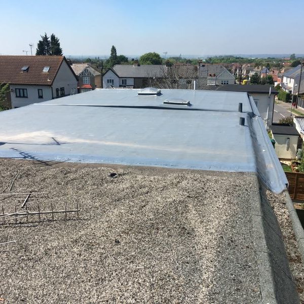 Hedgehope Complete 05