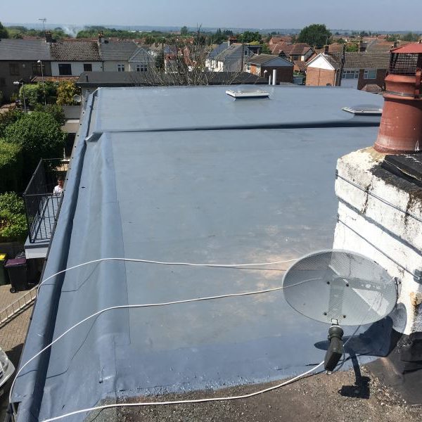 Hedgehope Complete 07