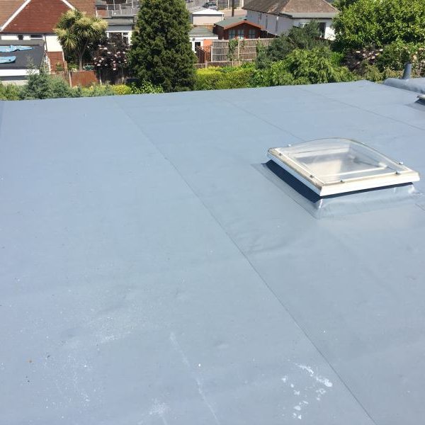 Hedgehope Complete 10