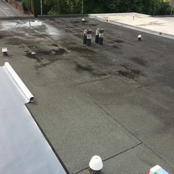 Maisonette Flat Roof 1