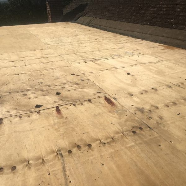 Photo 19 09 2017 09 26 30