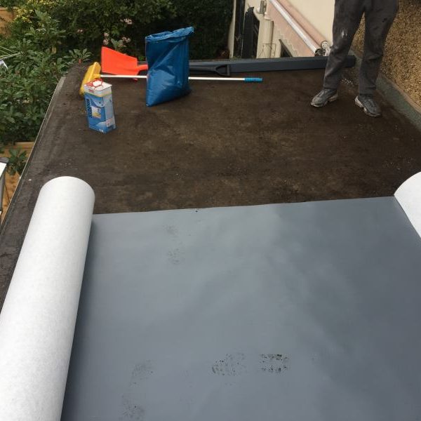 Photo 23 08 2017 11 01 17