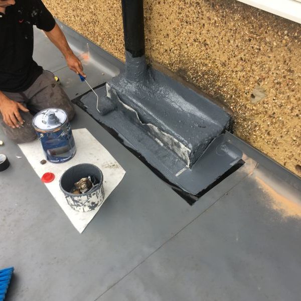 Photo 23 08 2017 12 39 43