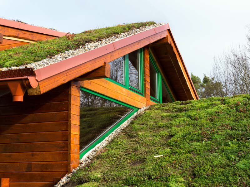 green roofing
