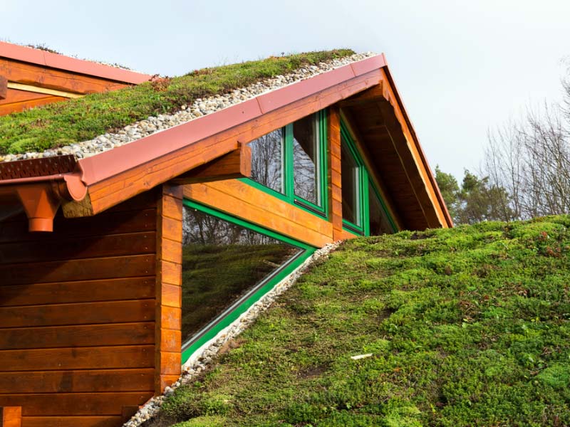 Green Roofing